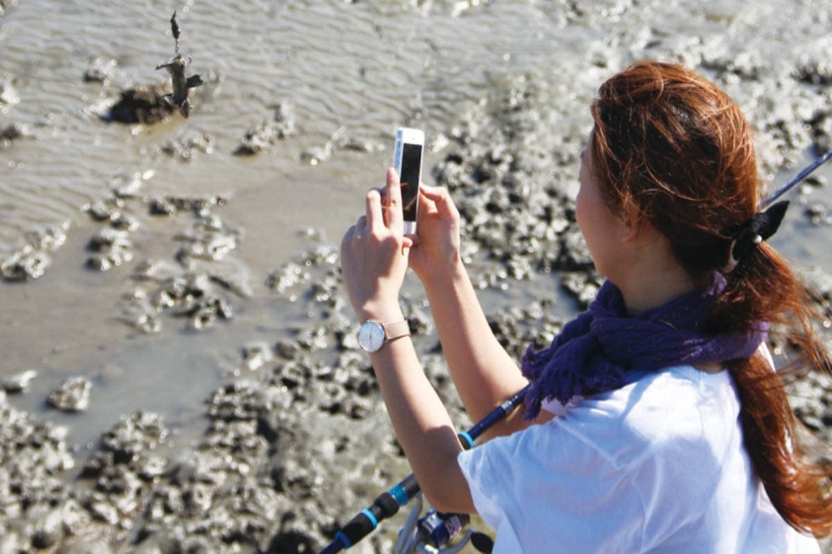 柳川市の施工事例:ムツかけ